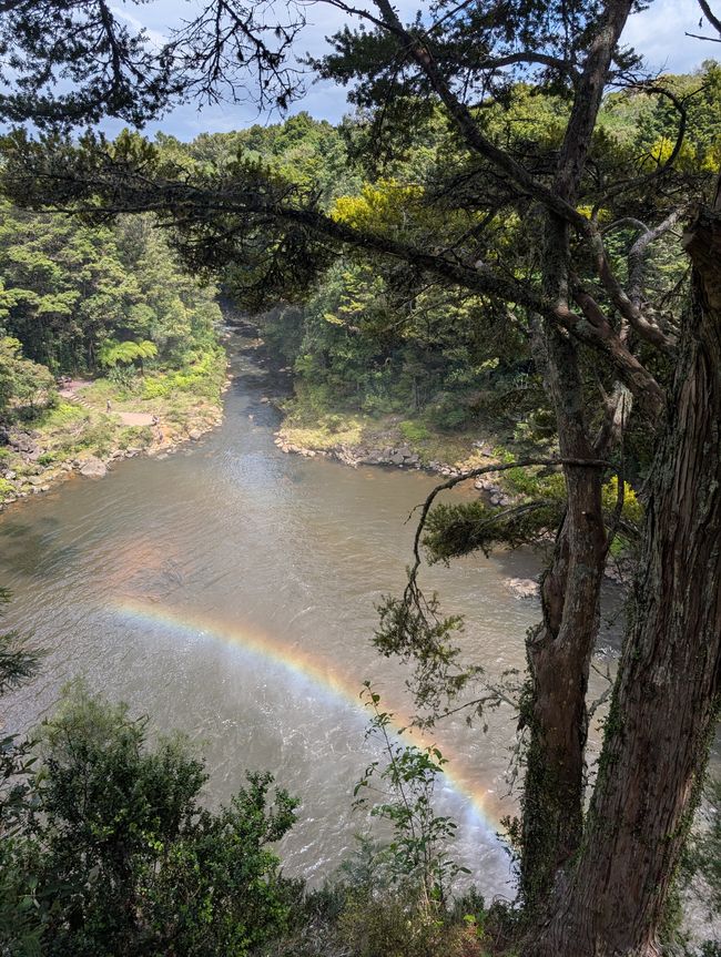 A rainbow doesn't choose to be a rainbow...