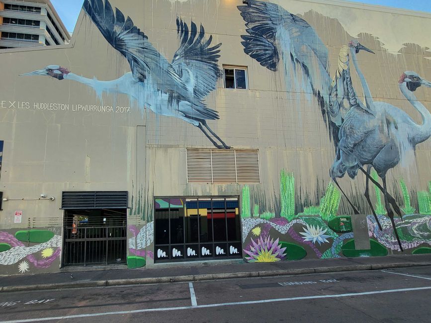 Murals Darwin