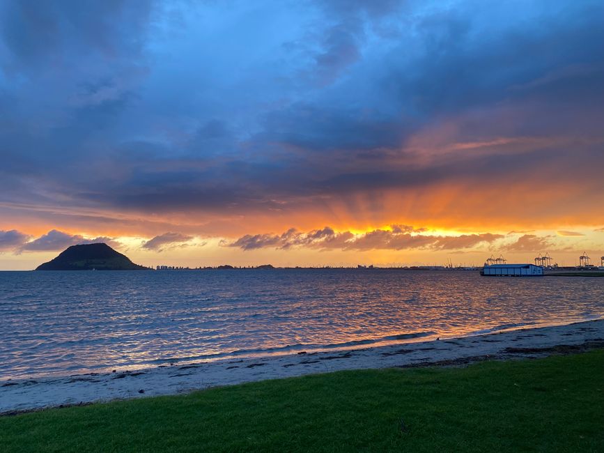 Coromandel loop