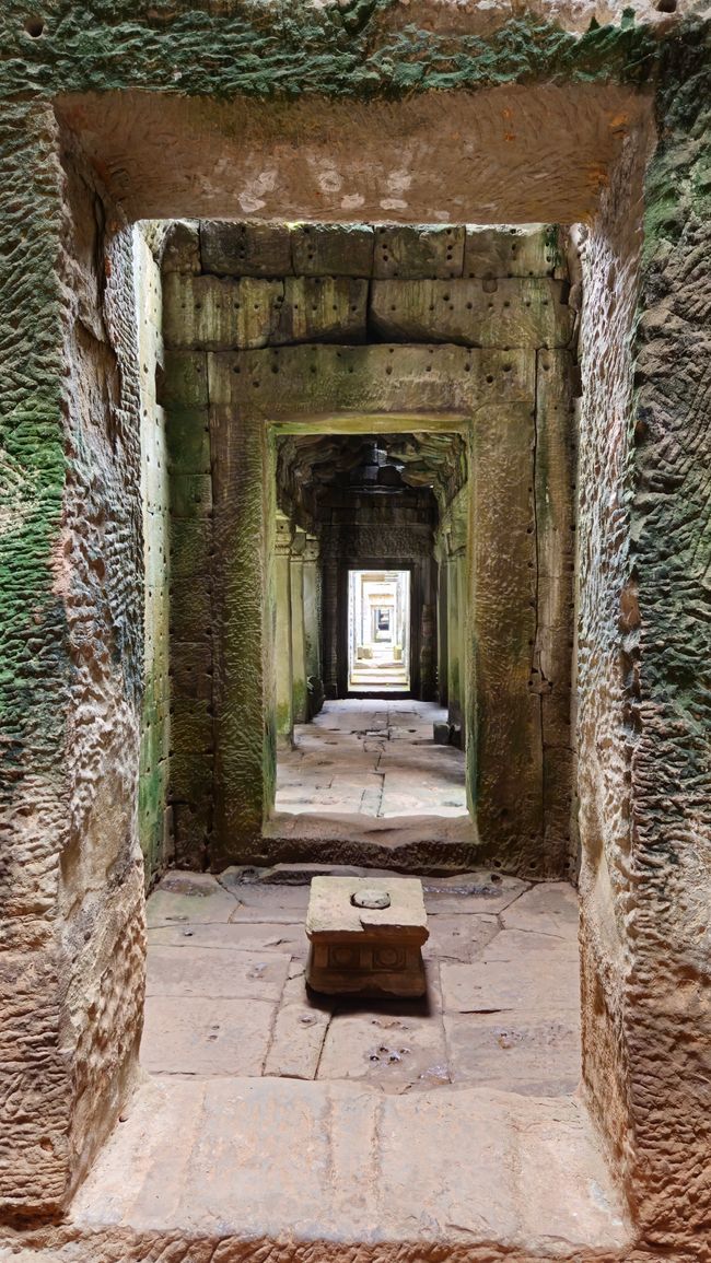 The Temples of Angkor