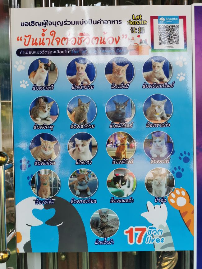 …这样可以让寺庙的猫也能用名字称呼…