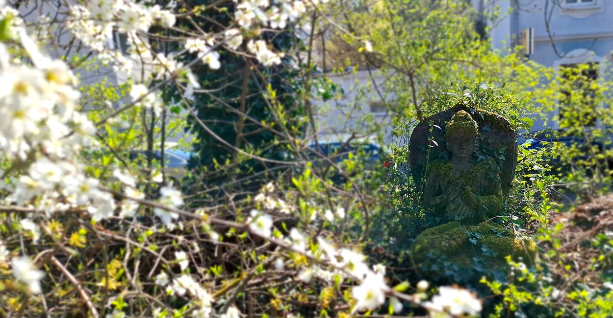 Wandern in Darmstadt 