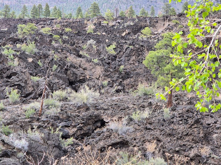 Sunset Crater Volcano