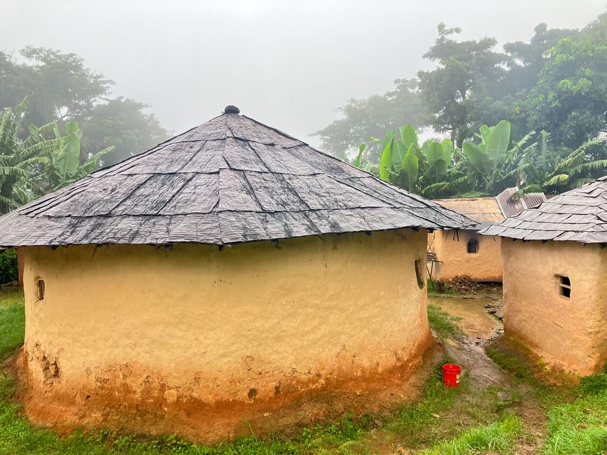 En las Montañas Usambara