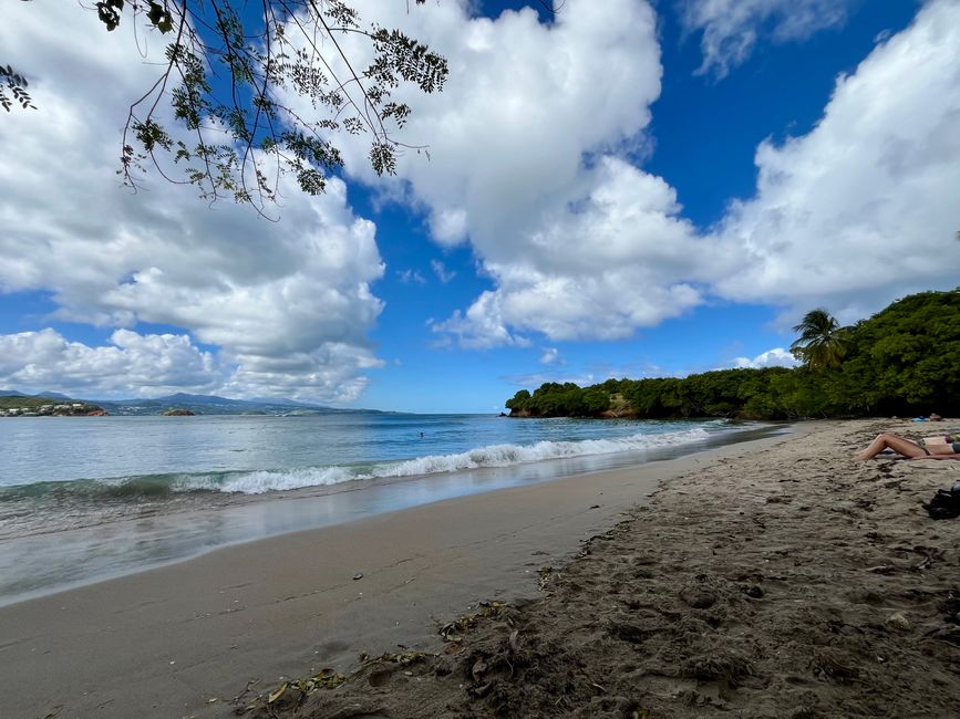 Anse la Preche in Trinité