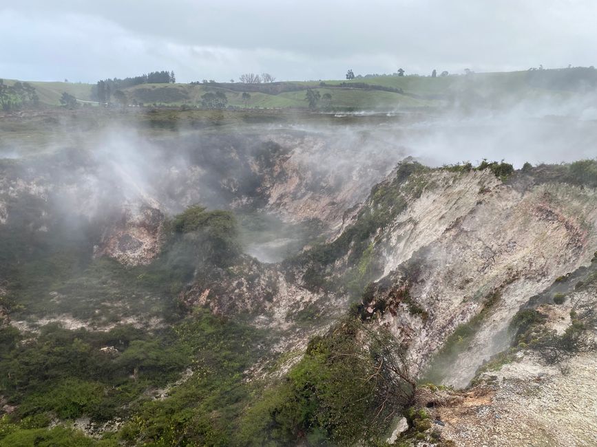 Taupo