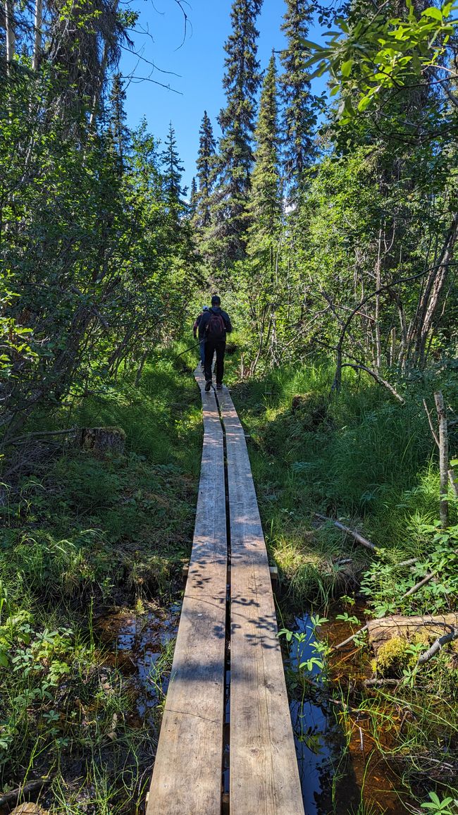 Upper Cascade Falls Trail