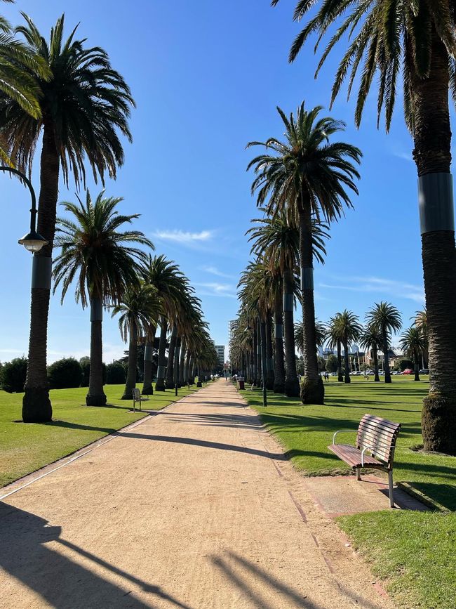 Park zum relaxen