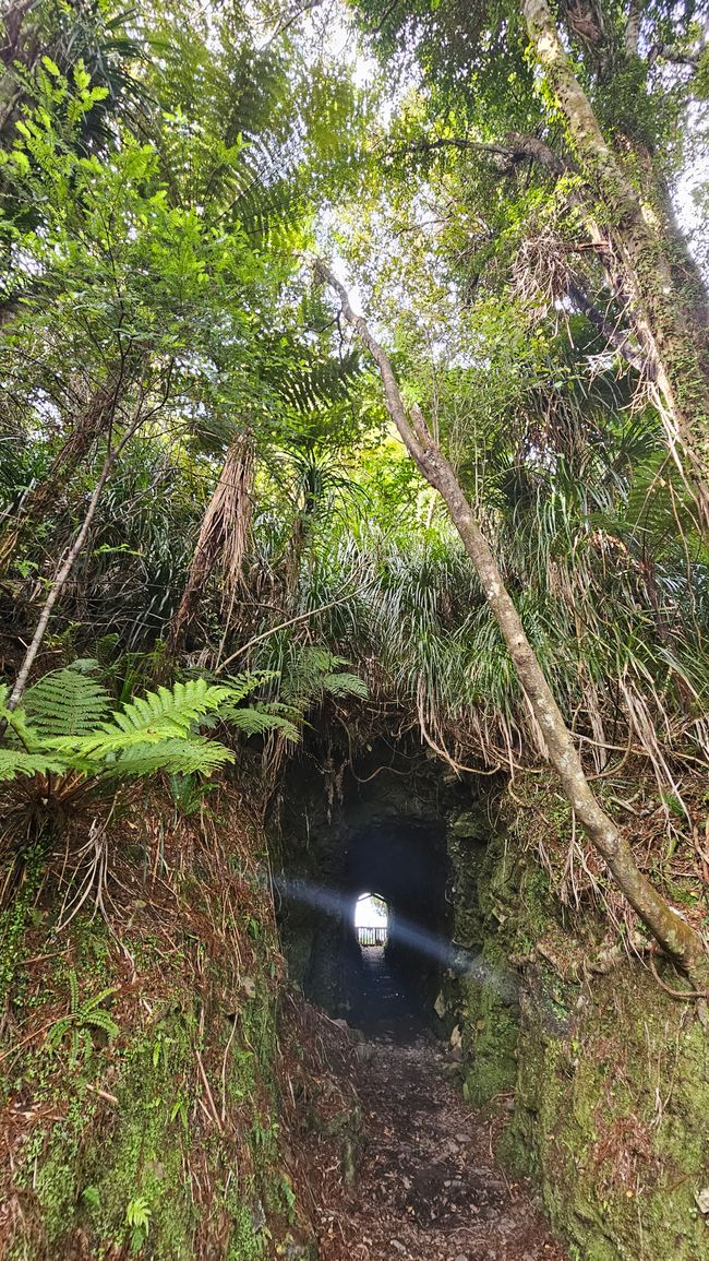 Wānaka - Haast - Gillespies Beach