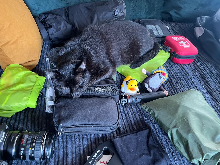 Auf Auf, DĂ€nemark wartet