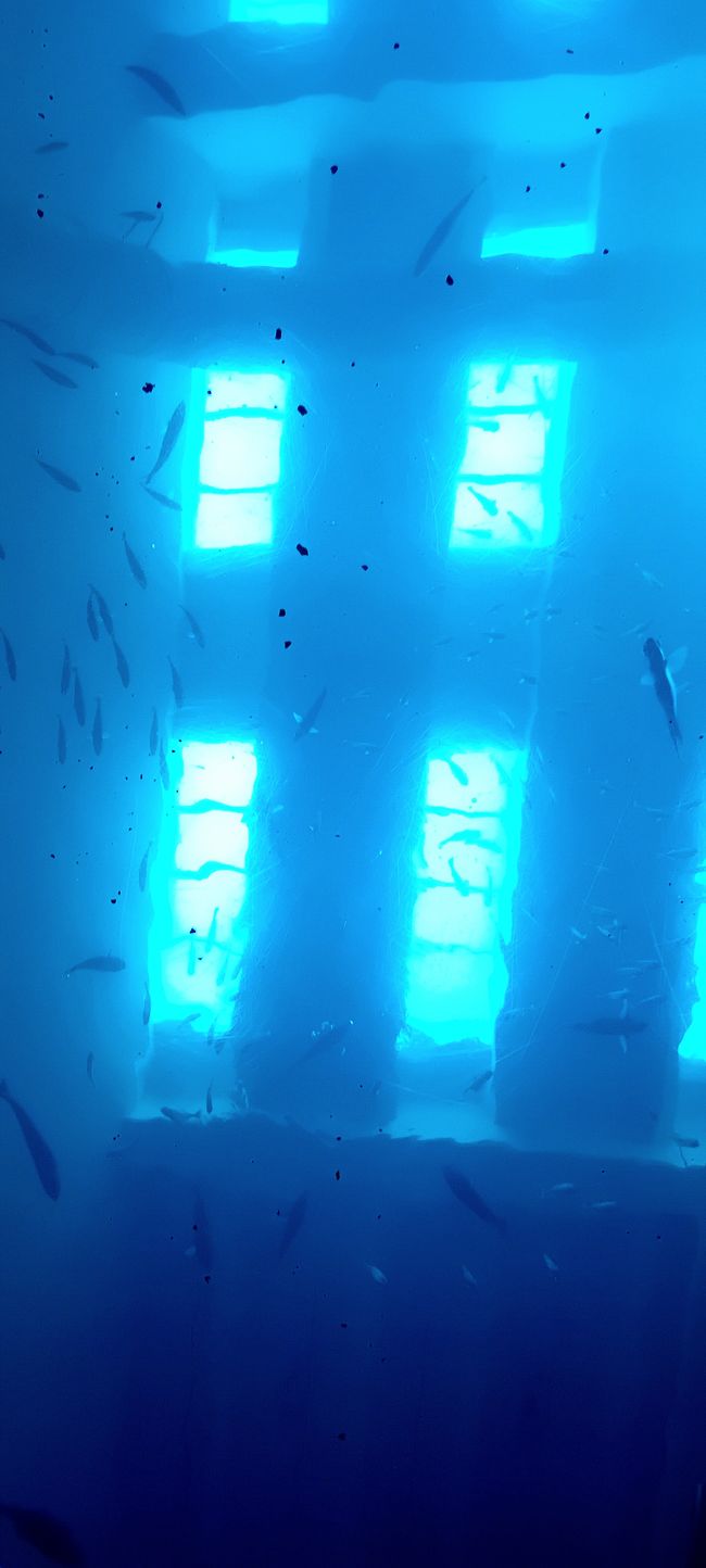 Checheng / Museo Nazionale di Biologia Marina & Museo