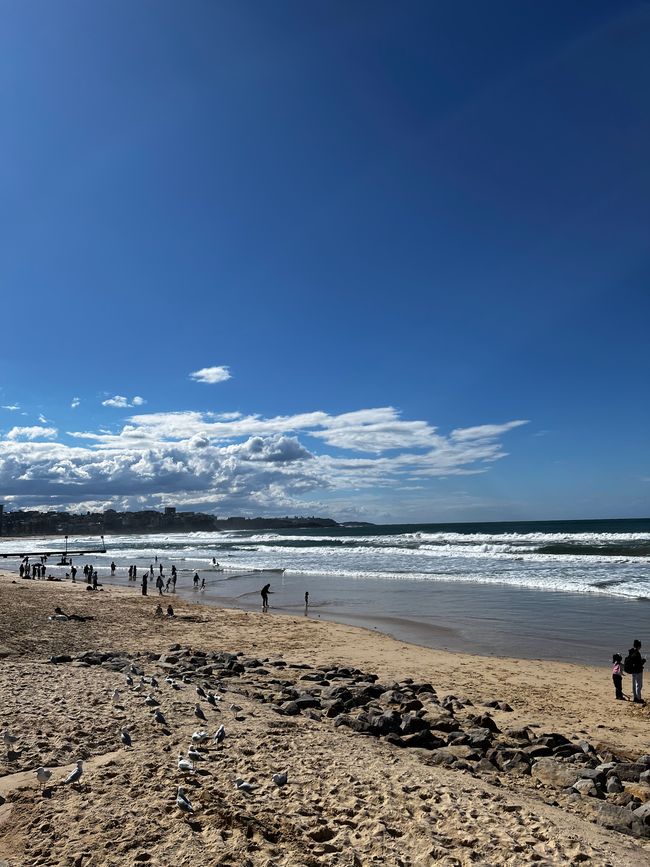 Playa Manly