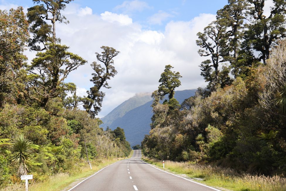 West Coast bis Jackson Bay