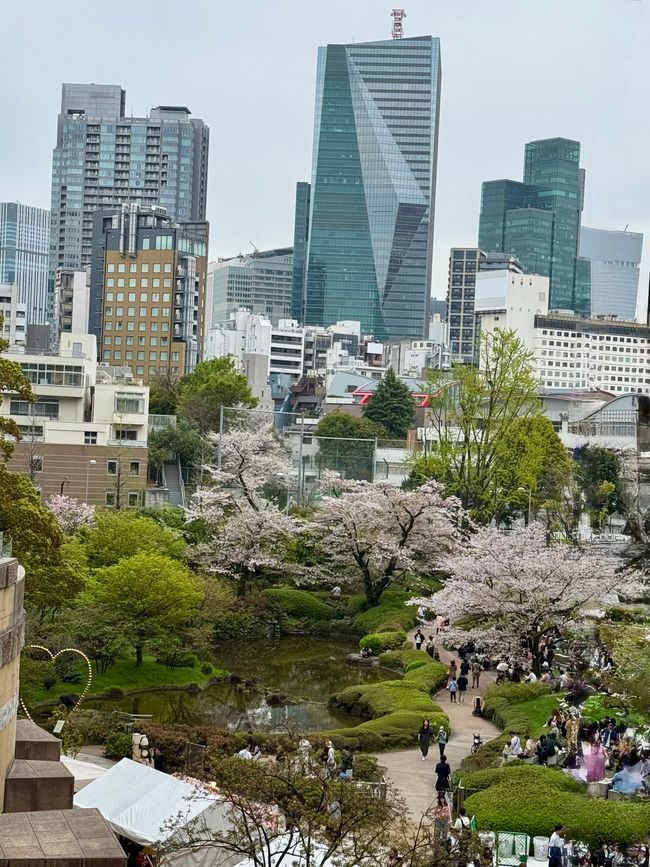 Parte 7
BENVENUTO IN GIAPPONE 🇯🇵
TOKYO