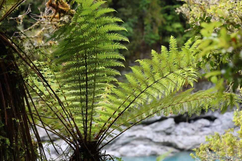 An der West Coast weiter Richtung Süden