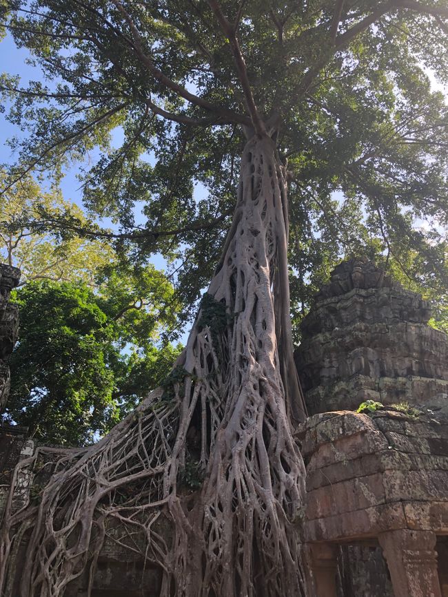 Tempel Ta Prohm