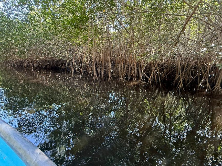 BLOG 20: Nicaragua - Costa del Pacífico y Bosque de Manglares