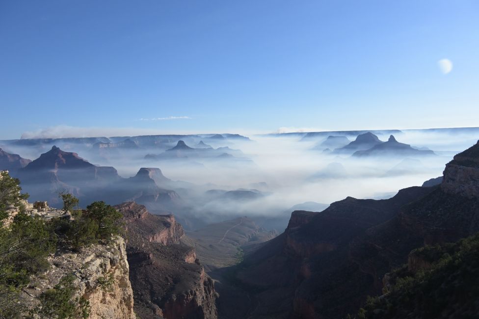Vista mattutina dal South Rim