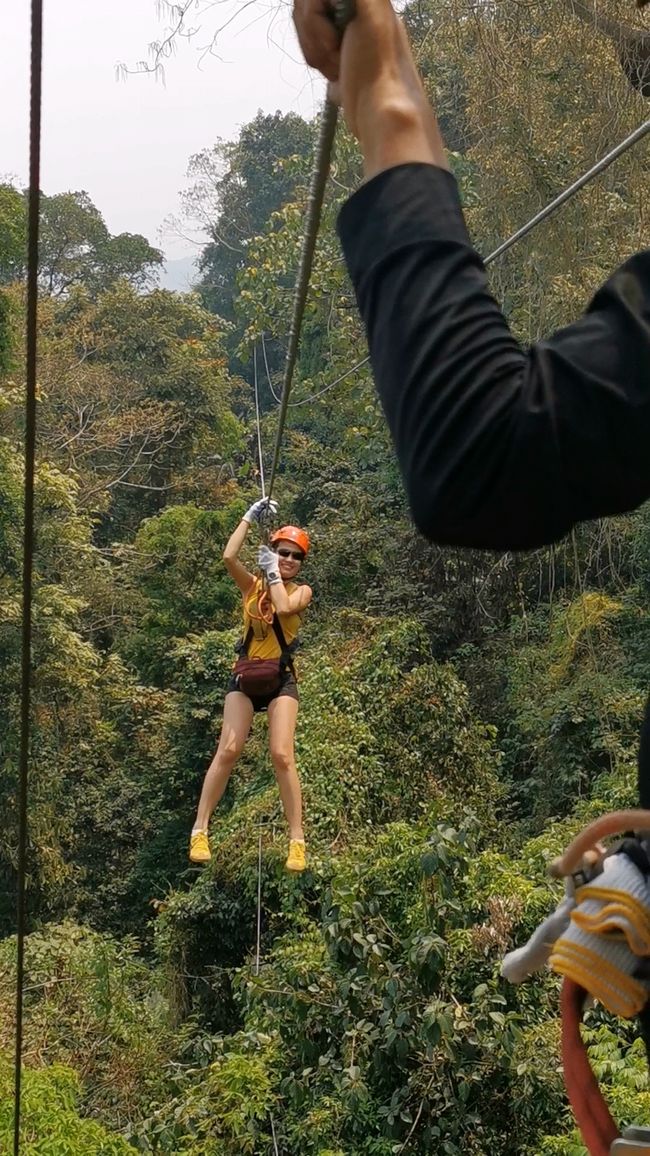 ... it goes quickly into the depths back down the mountain at the different 'ziplines' 