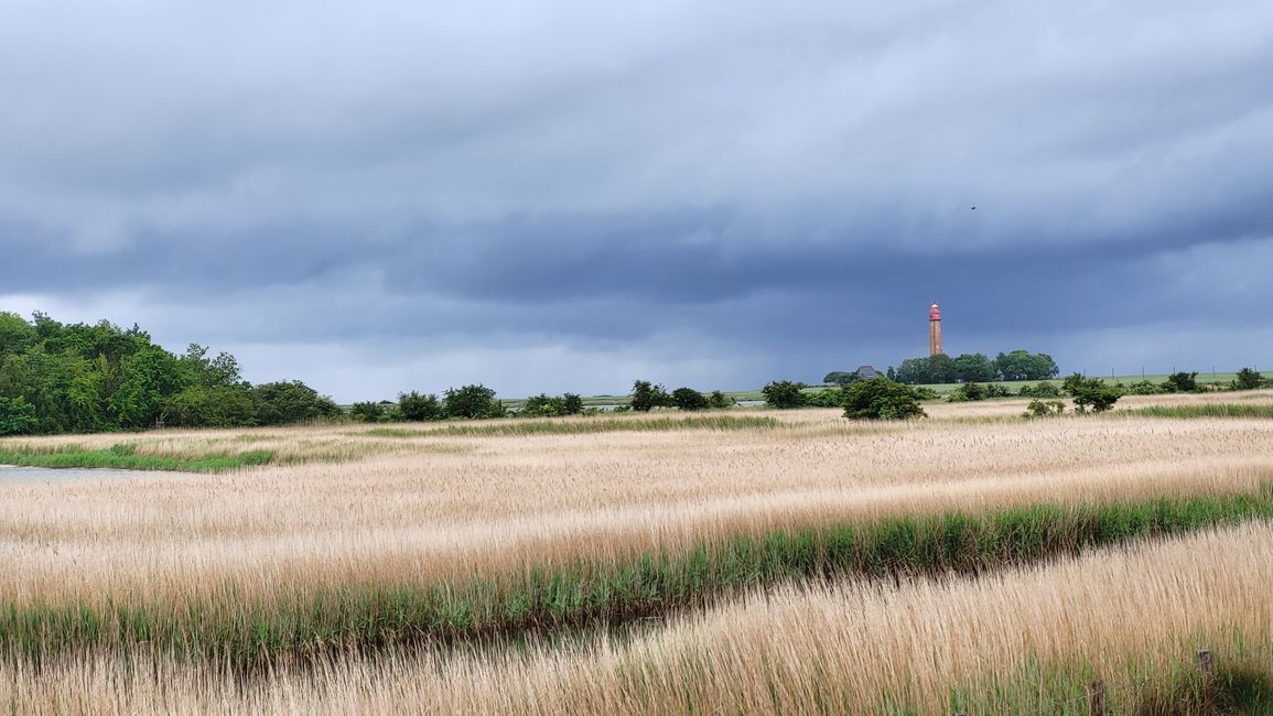 Wanderung bei Orth zum Flügger Leuchtturm