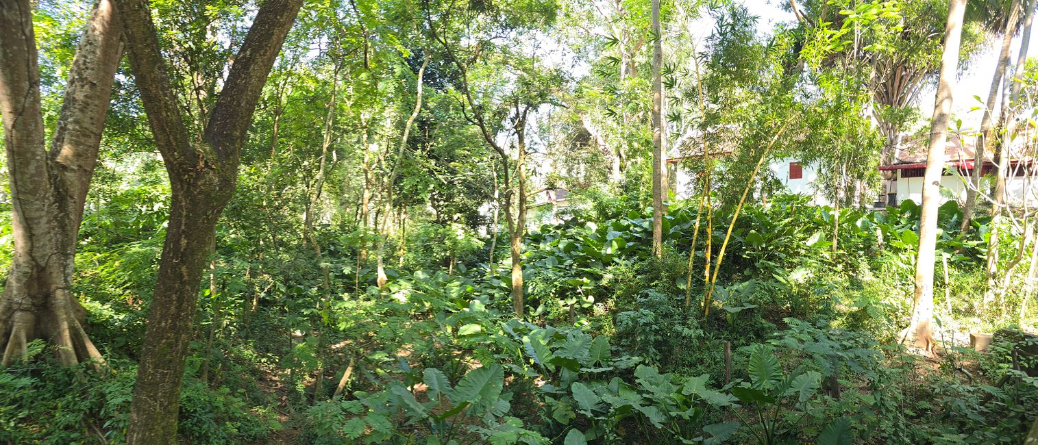Une journée au bord de la rivière et les petits temples de l'autre côté de la rivière
