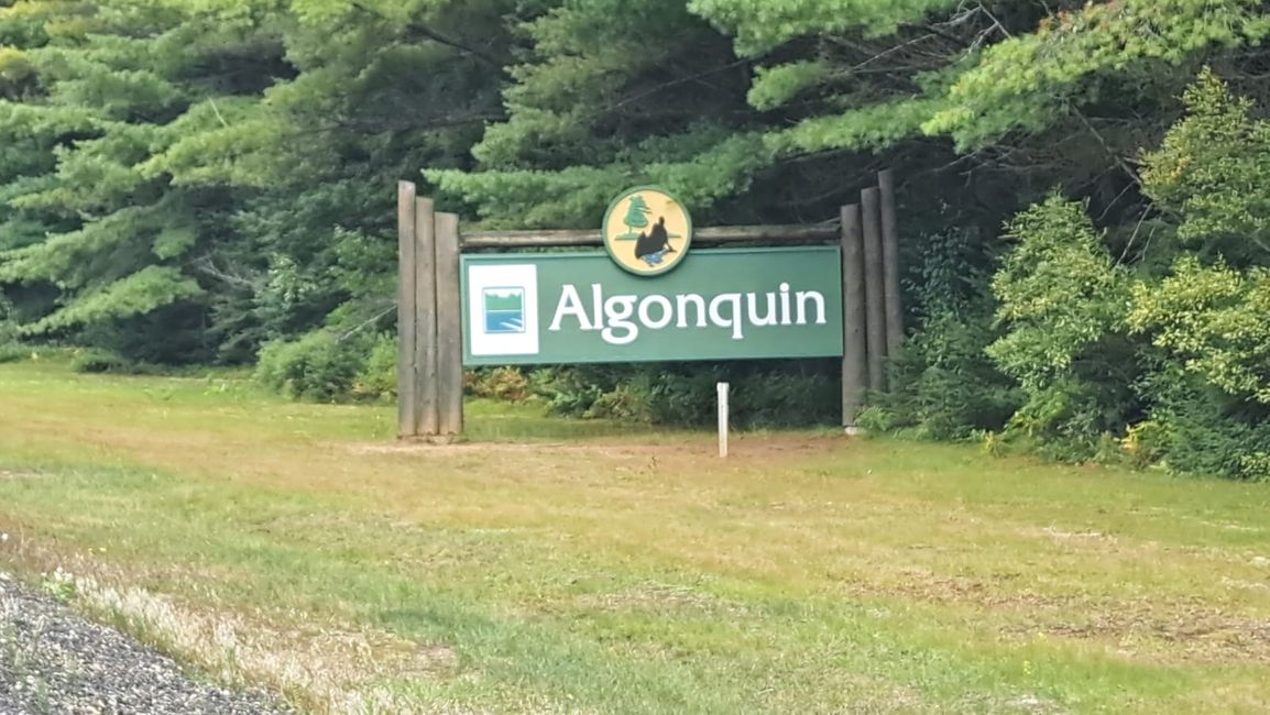 Ottawa - Parco Nazionale Algonquin