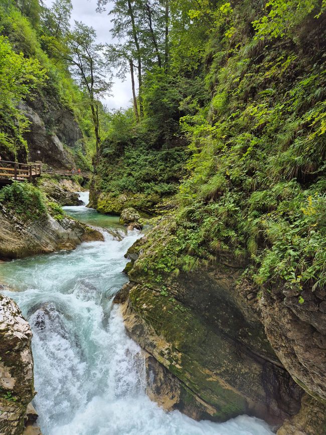 Vintgarklamm & Kremšnita👩‍♀️👨‍♂️