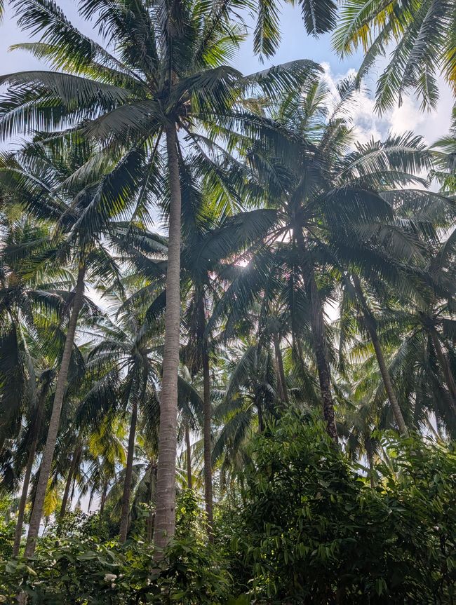 Eine ausgestreckte Hand am Fensterbrett