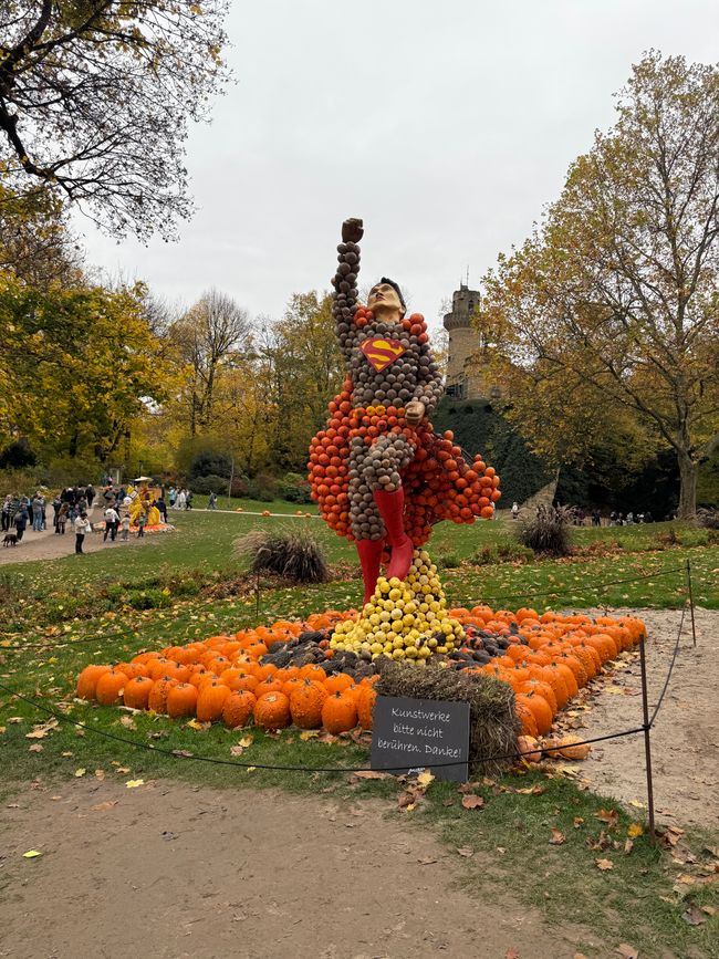 📍 Esposizione di zucche, Ludwigsburg/ 📍 Pumpkin exhibition, Ludwigsburg