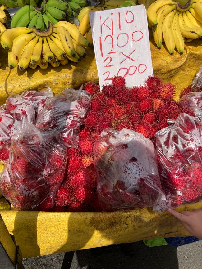 Ankunft - mit Hindernissen, aber wir sind da!