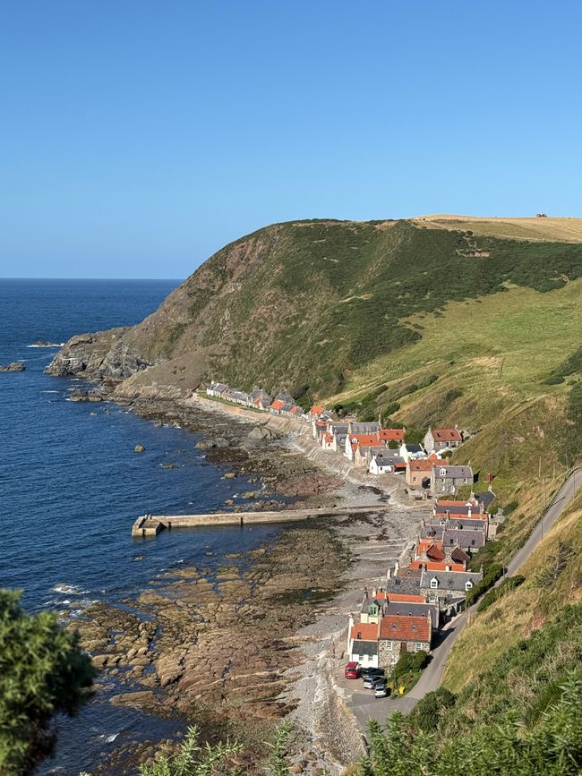 Crovie