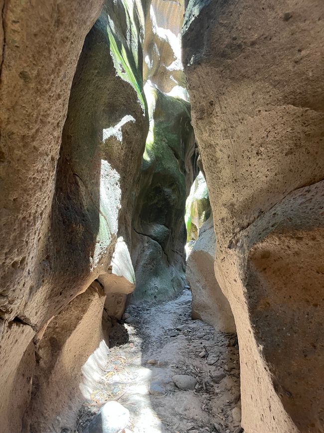 Tag 8
Qorihuilca Canyon und auf dem Markt einkaufen