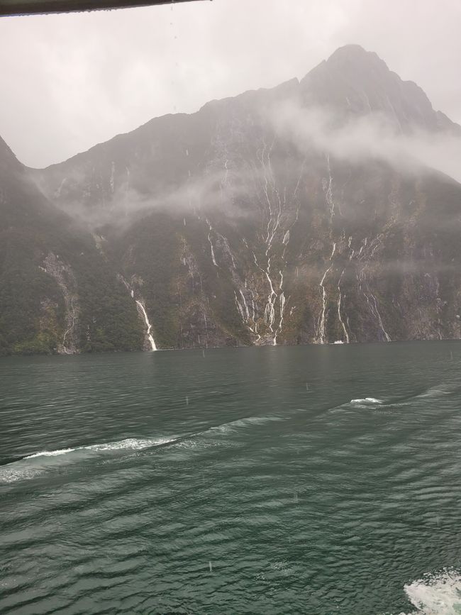 Tag 87 von 175: Kreuzfahrt rund um die Welt - Kreuzen im Milford Sound/Neuseeland