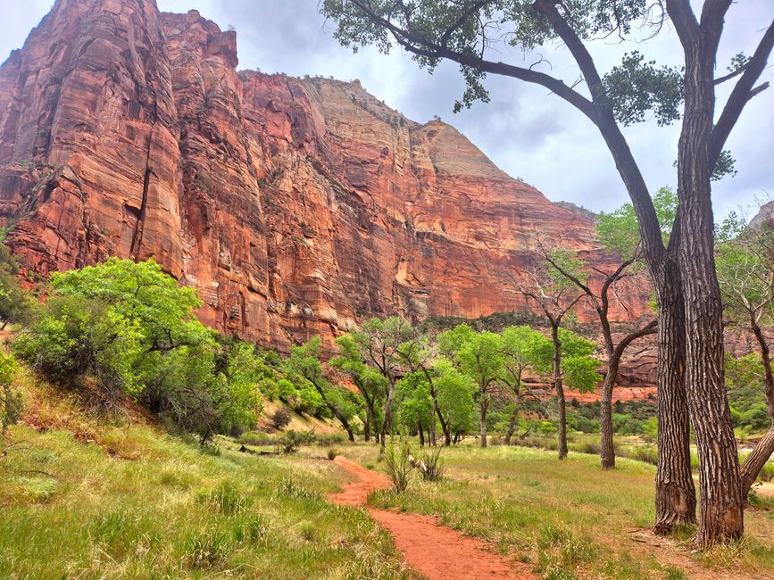 Zion Canyon