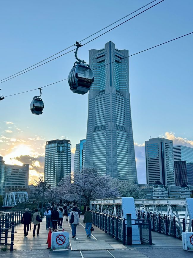 Parte 7
BENVENUTO IN GIAPPONE 🇯🇵
TOKYO