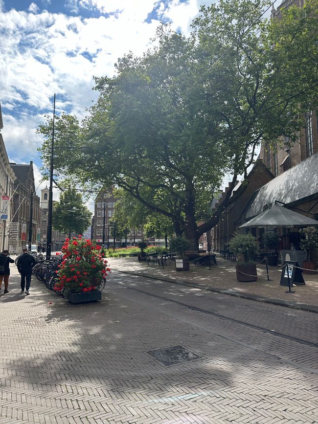 Tag Zwei Utrecht-Den Haag