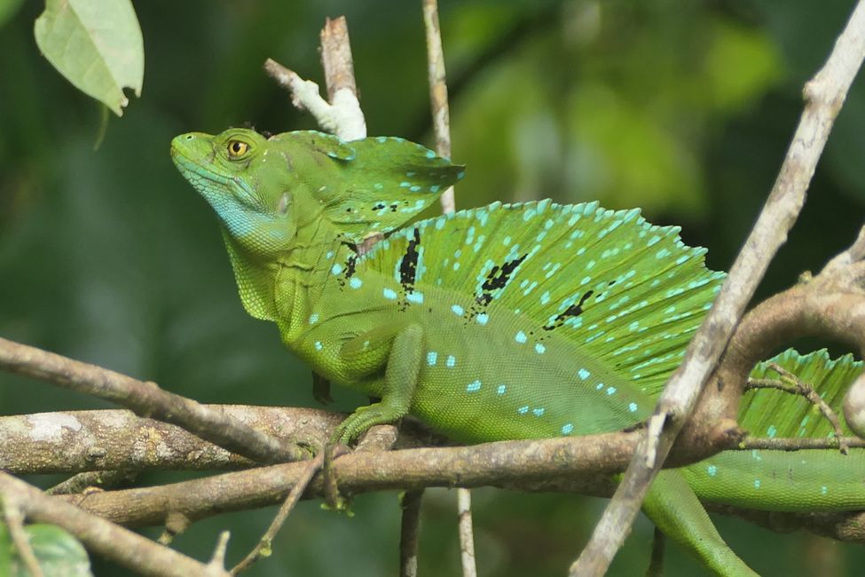 Costa Rica 2025