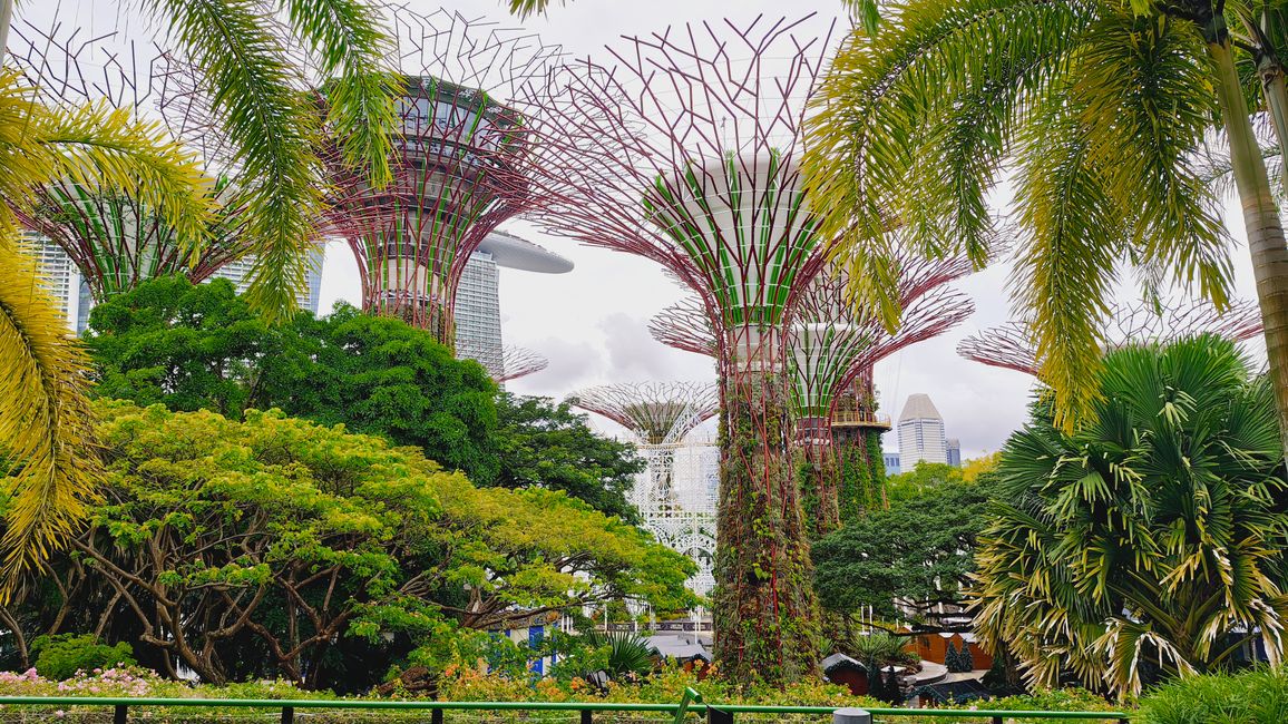 Gardens by the Bay