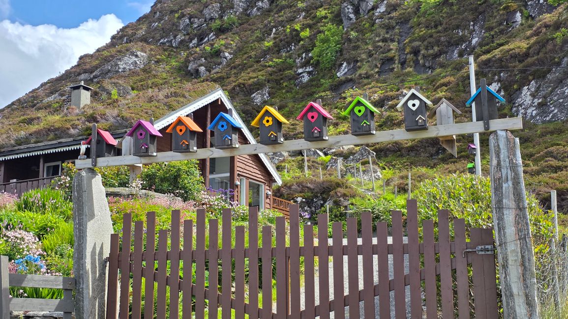 Isola Runde-Südnorvegia
18 Giugno 2026