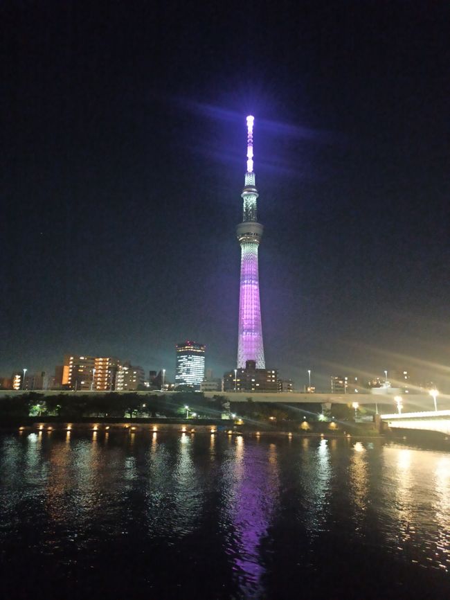 Tokio ankommen