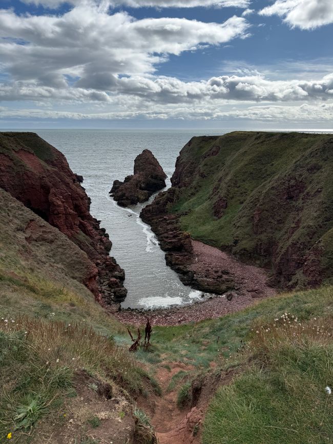 Arbroath, Smokies und Klippen