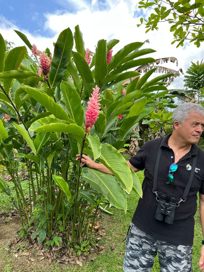 All'uscita dell'Arenal e nel giardino delle erbe