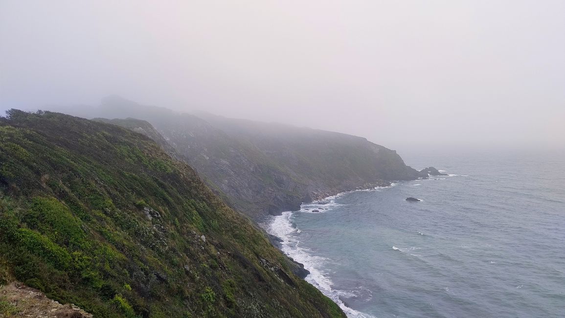 Gribbin Head