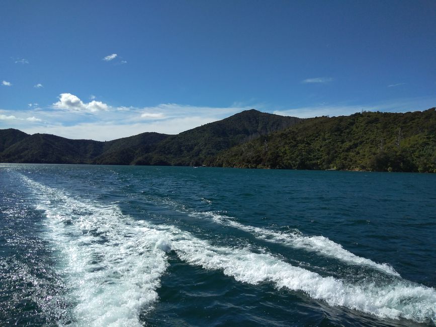Catamaran cruise through the Marlborough Sounds