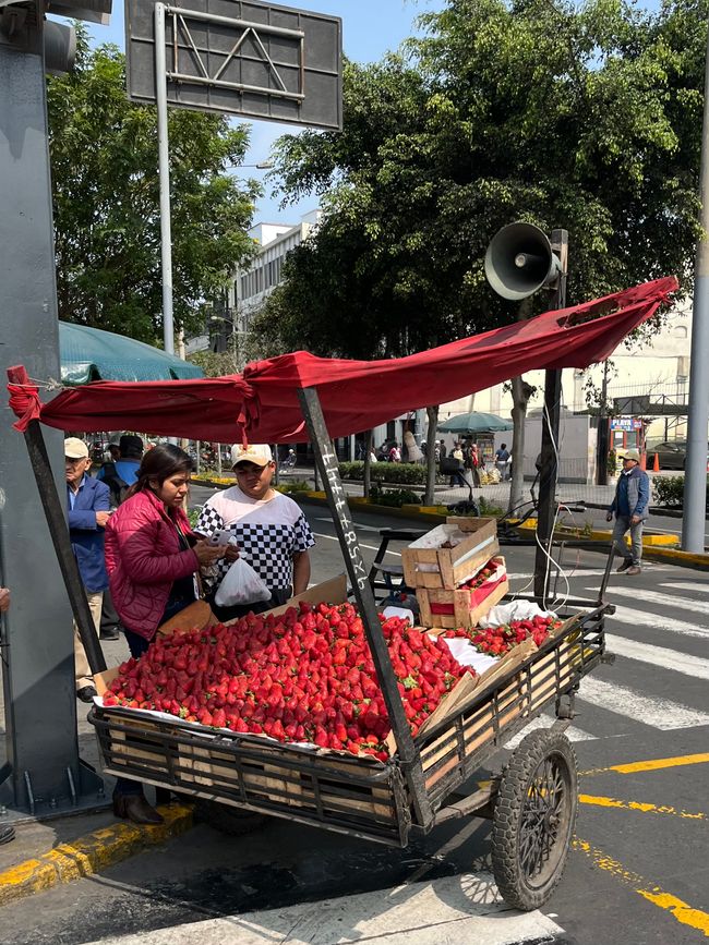 Street scene in the Centro