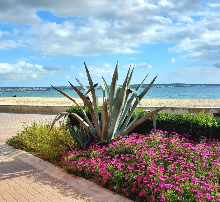 Mallorca