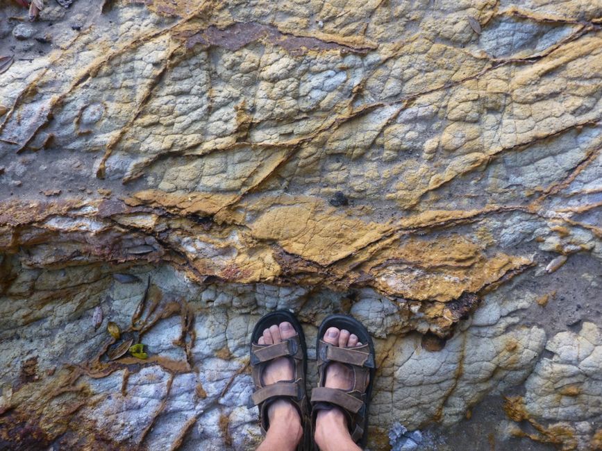 2025-04-11 NZ, Coromandel