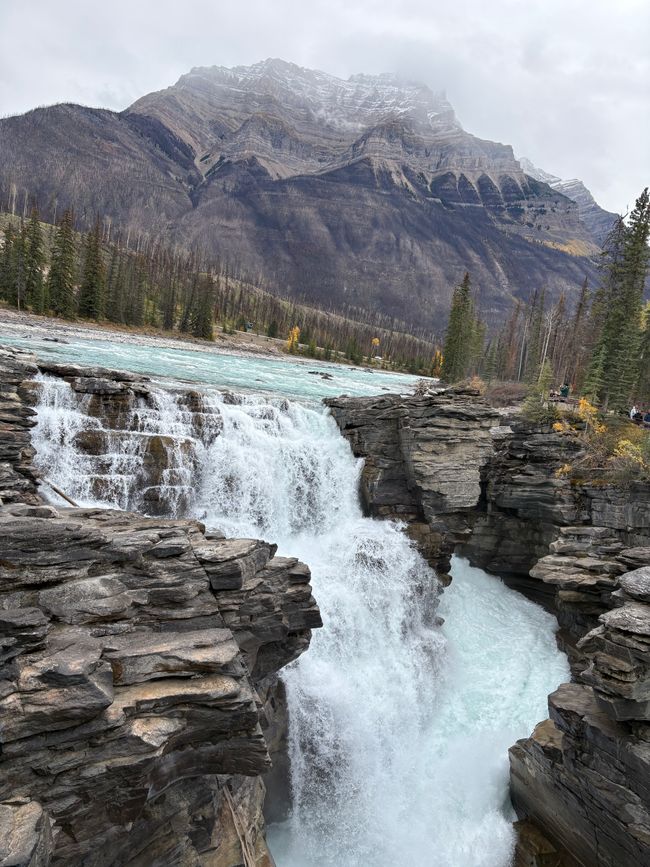 Tag 12 - 🏔️ Wasserfälle, Wetterkapriolen & Wellness – ein (fast) perfekter Tag in Jasper