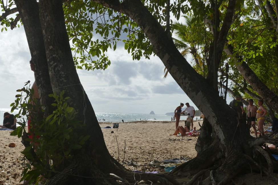 Mit der Fähre nach Martinique, unser Häuschen im Dschungel