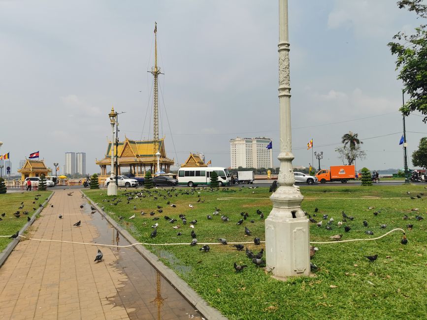 ... with thousands of pigeons ...